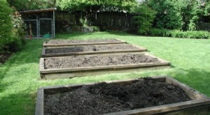 Square Foot Gardening:En enkel, effektiv guide för små utrymmen 