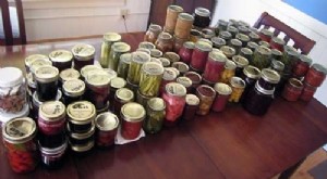 Preserve Your Garden Harvest:A Guide to Food Dehydrators 