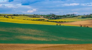 Crowdfunded Farmland Investing:Öka din rikedom med fastigheter 
