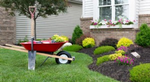 造園の ROI:住宅の価値を高め、魅力を抑える - 予算のヒント 