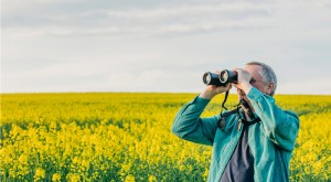Tìm cố vấn tài chính phù hợp:Bắt đầu từ nhu cầu của bạn 
