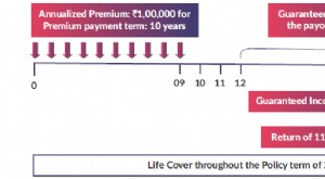 SBI Life Smart Platina Plus Review:is het een slimme investering? 
