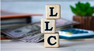 LLC vs. LP:Att välja rätt affärsstruktur - ansvar och ledning 